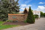 3660 Coral Bell Drive - Photo 6