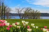 1501 1st Street - Photo 50