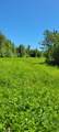1634 County Road 117 - Photo 32