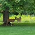 14890 Country Road - Photo 33