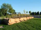 3667 Lerive Way - Photo 66