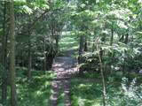 7738 County Road 17 - Photo 23
