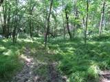 7738 County Road 17 - Photo 24