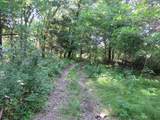 7738 County Road 17 - Photo 29