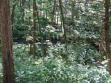7738 County Road 17 - Photo 31