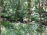 7738 County Road 17 - Photo 32
