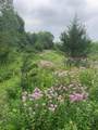 TBD 75th Street - Photo 18