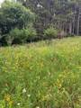 TBD 75th Street - Photo 19