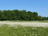 XXXXX County Road Z - Photo 11