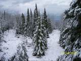 XX Stanley Road - Photo 3