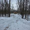 47802 Xylophone Road - Photo 3