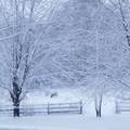 14890 Country Road - Photo 31