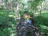 7738 County Road 17 - Photo 20
