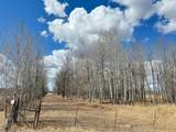 TBD Trigstad Rd - Photo 1