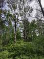 XXXX 159th Avenue - Photo 15