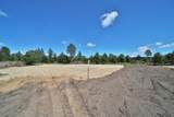 TBD Park Drive - Photo 6