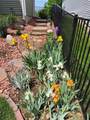 11175 Black Oaks Court - Photo 42