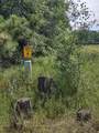 XXXX 159th Avenue - Photo 37