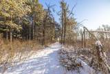 23790 360th Street - Photo 47
