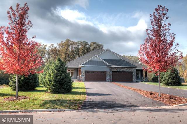 2519 Condon Court, Mendota Heights, MN 55120 (#5719296) :: Twin Cities South