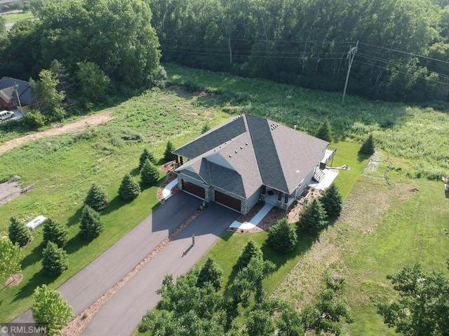 2525 Condon Court, Mendota Heights, MN 55120 (#5719301) :: Twin Cities South