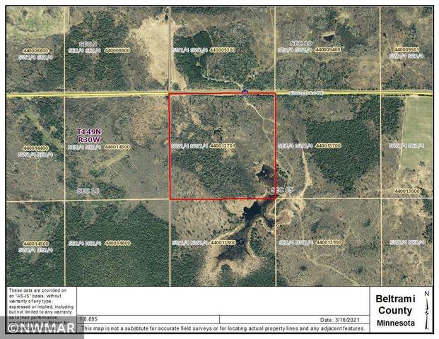 TBD Alvwood Road NE, Summit Twp, MN 56630 (#5726072) :: Twin Cities South
