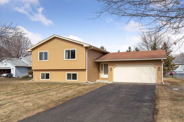 4319 159th Court W, Rosemount, MN 55068 (#5711173) :: Twin Cities South