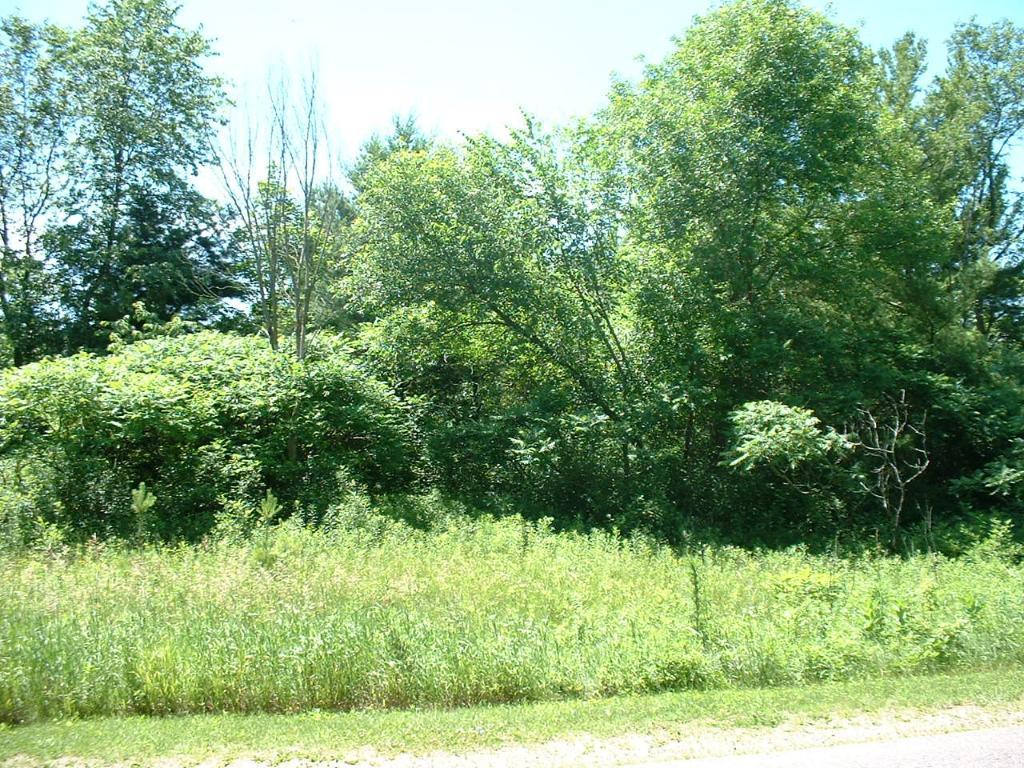 Lot 3 5.01ac Doug Blegen Drive - Photo 1