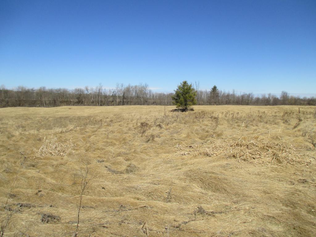 311 Norske Street - Photo 1