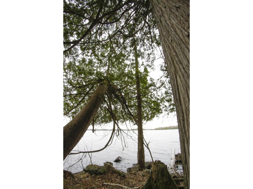 0000 Lake Vermilion - Photo 1