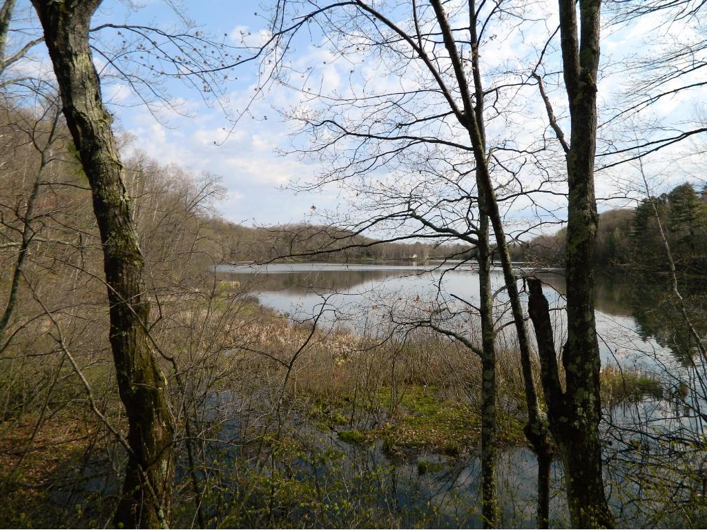 00 West Bass Lake Rd - Photo 1