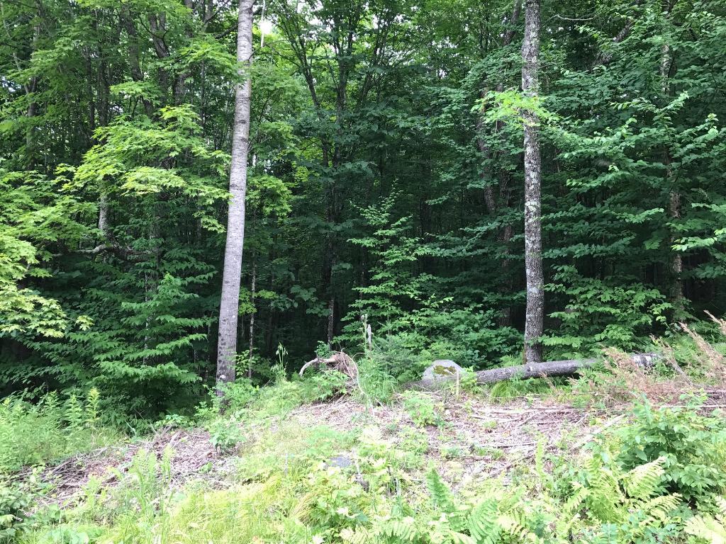 Lot 0 Price Dam Road - Photo 1