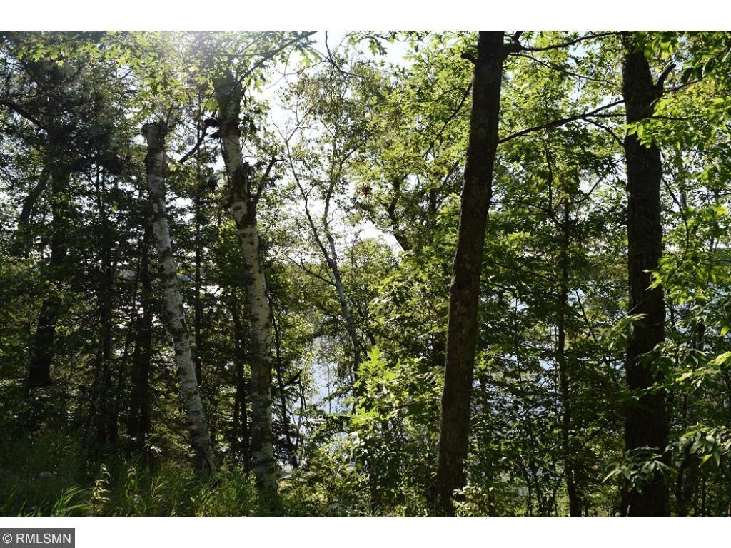 TBD Tract A Wabedo Pass Road - Photo 1
