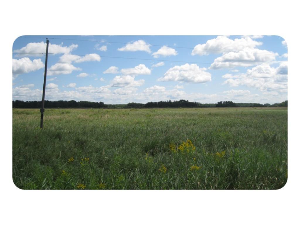 55XXX Nature Avenue - Photo 1