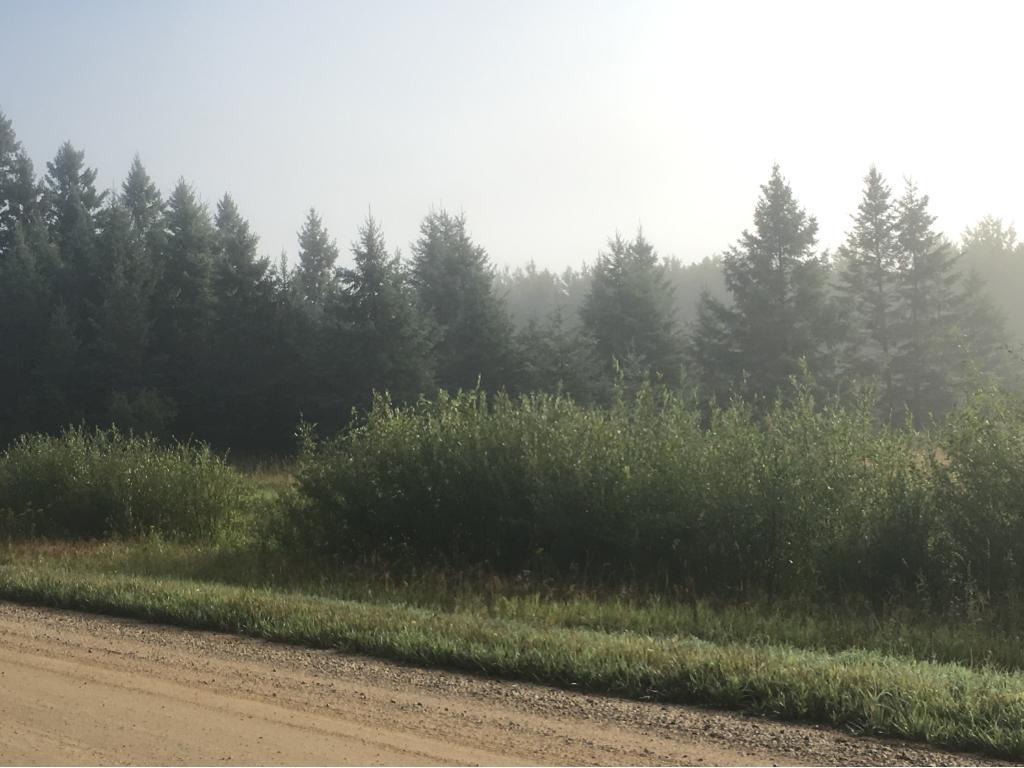 TBD Junction Lanet & Hornet - Photo 1