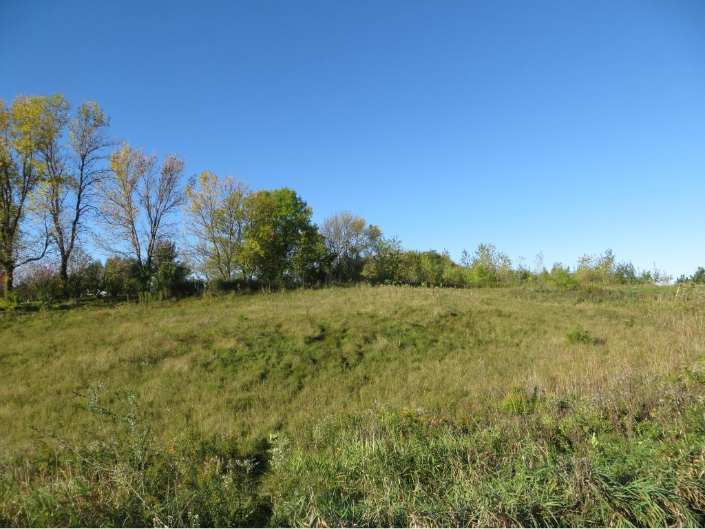 XXXX Winker Court - Photo 1