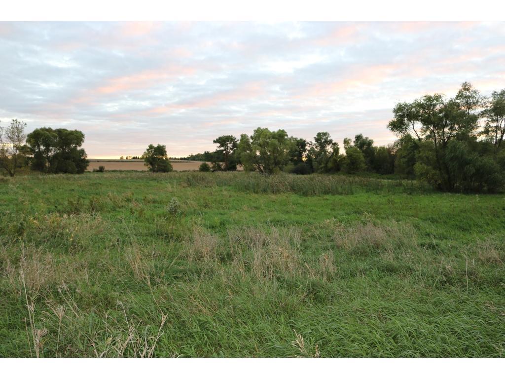 XXX 251st Avenue - Photo 1