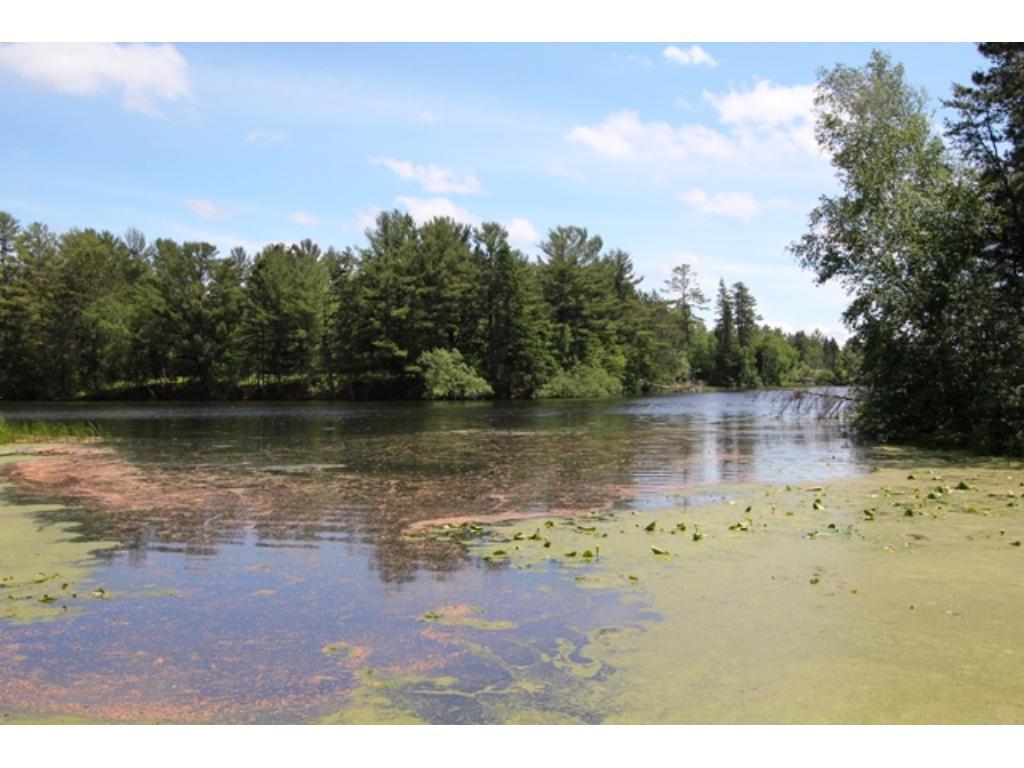 Lot 4 Sawmill Road - Photo 1