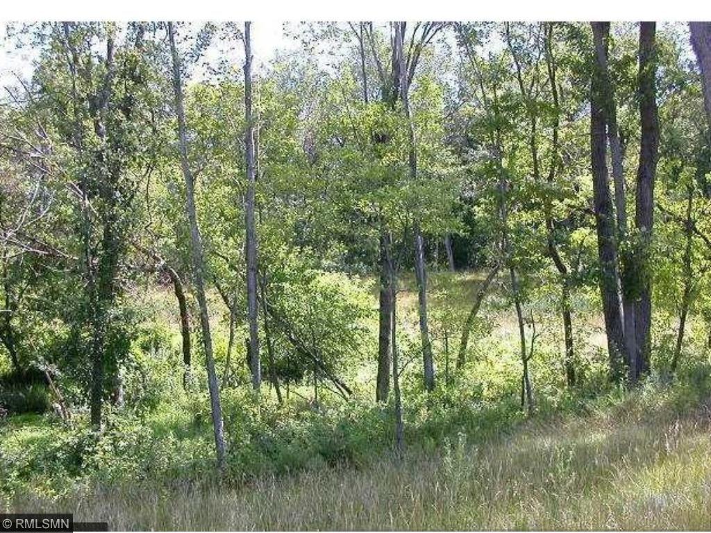 Lot 30 279th Street - Photo 1