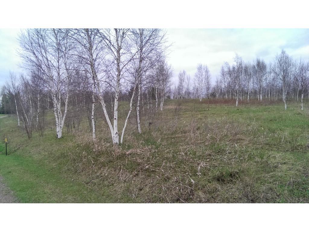 Lot 9 64th Street - Photo 1