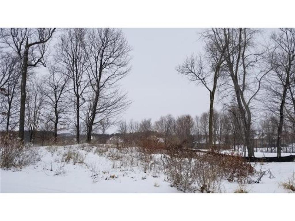 28XX Preserve Boulevard - Photo 1