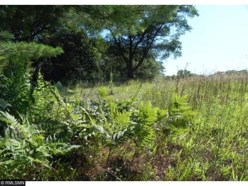 90X Wisconsin Lane - Photo 1