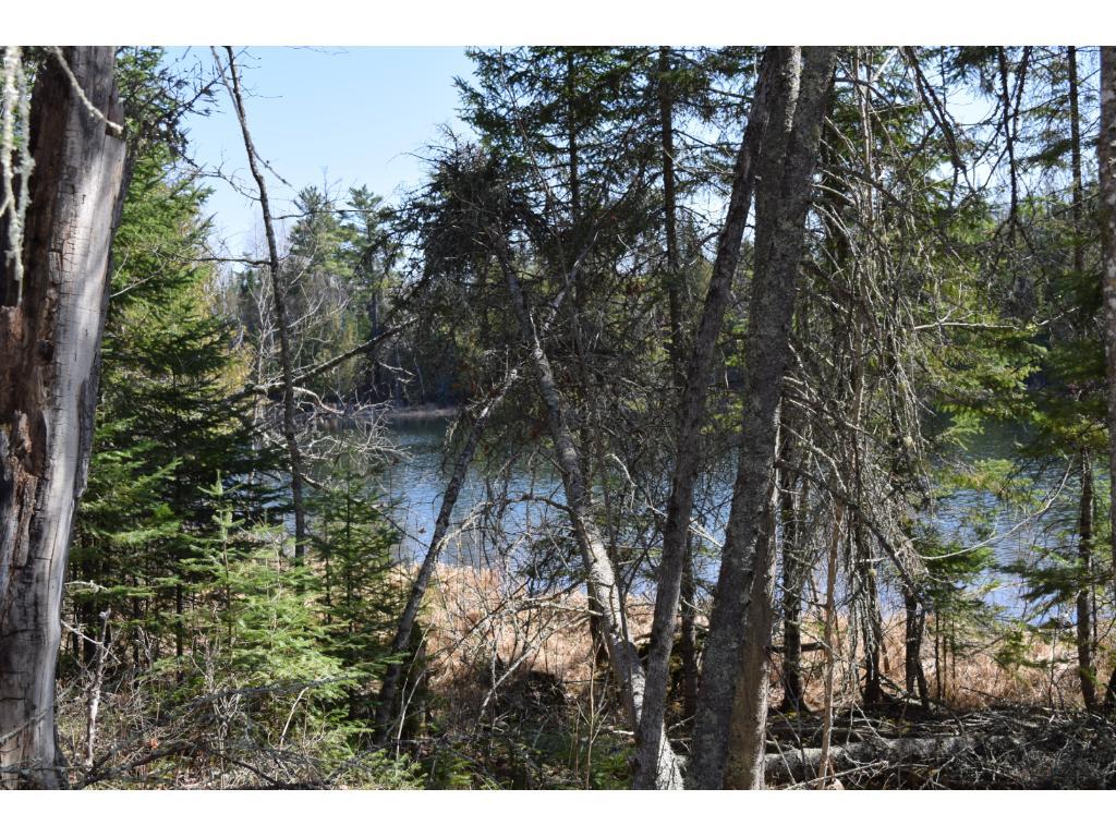 49882 Little Ranier Road - Photo 1