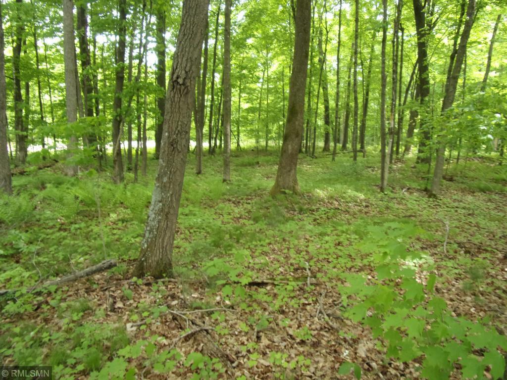 26XX Lot#10 2 1/2 - Photo 1