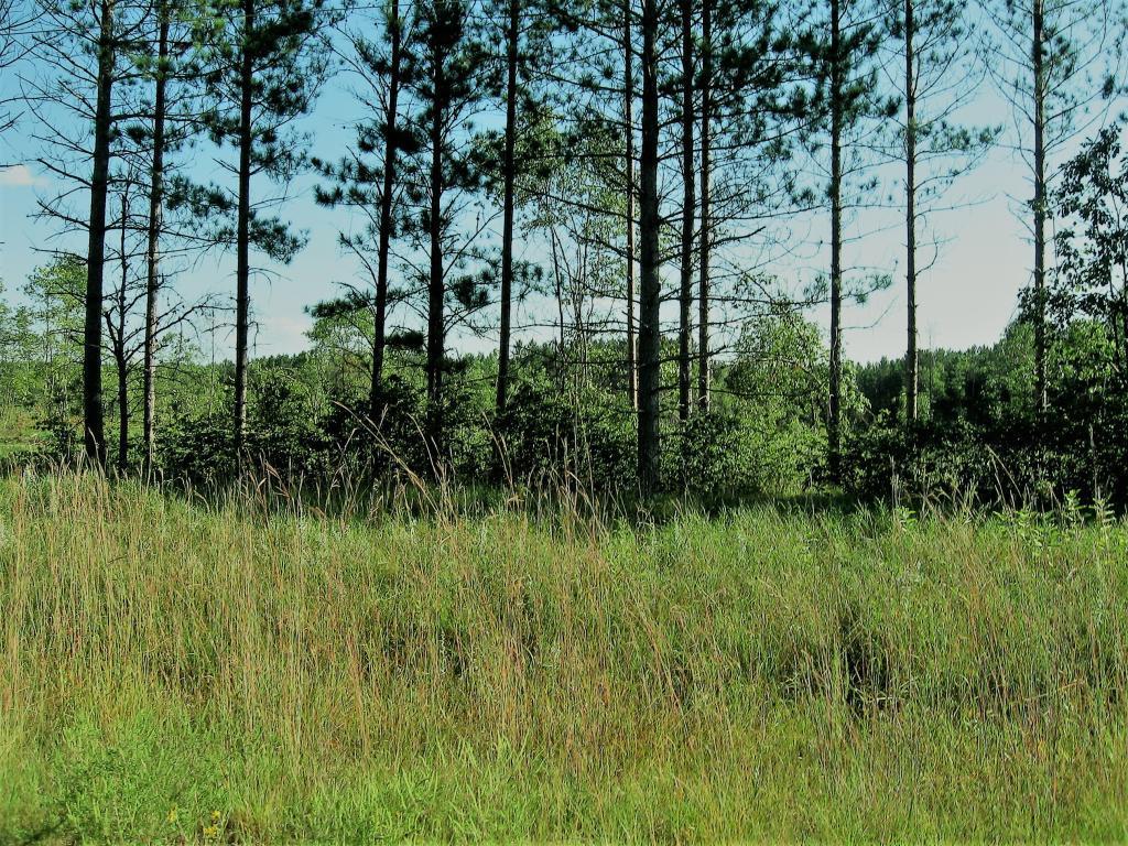 TBD 470th - Photo 1