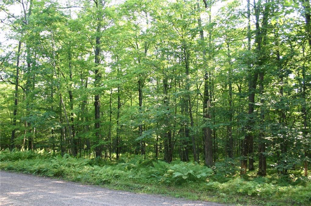 Lot 5 Dobbert Rd. - Photo 1