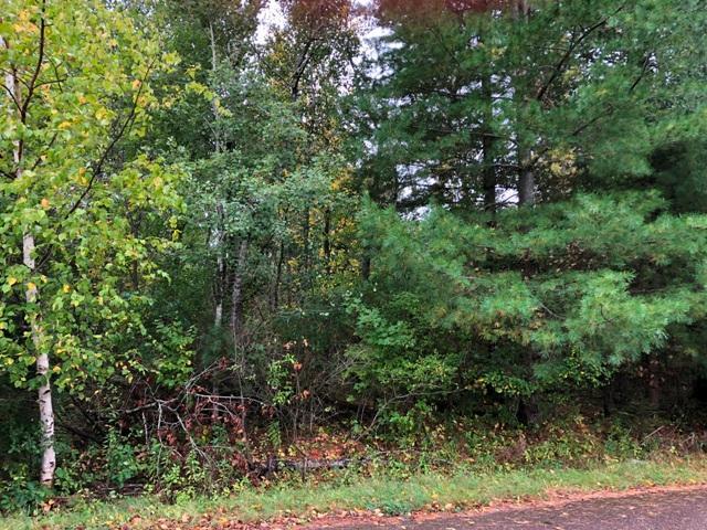 Lot 0 Le Beouf Avenue - Photo 1
