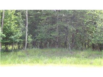 L1 B2 83rd Street - Photo 1