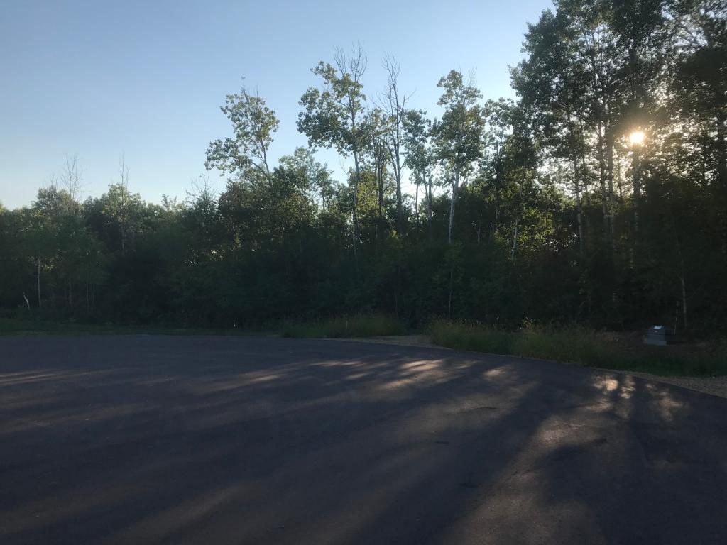 1070(Lot17) Autumn Oak Lane - Photo 1