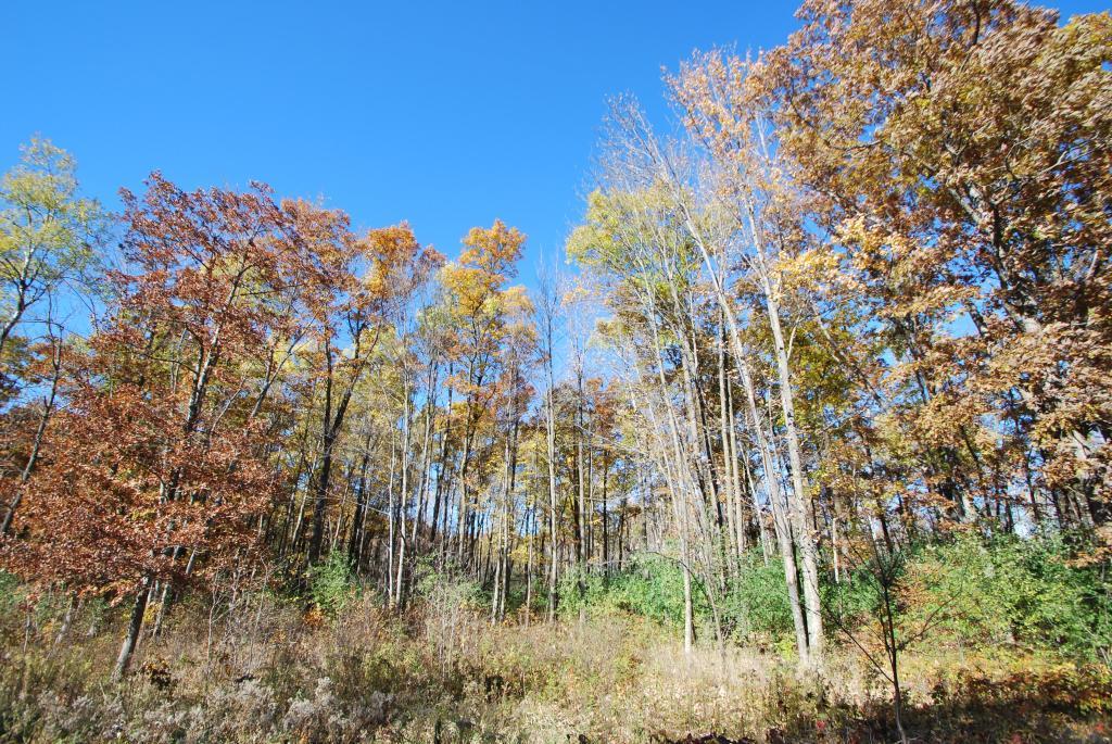 Lot 10 10 3/8 Avenue - Photo 1